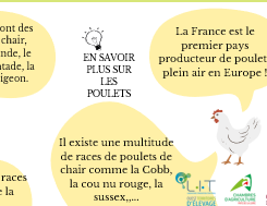 Modèle de fiche synthèse de l'élevage